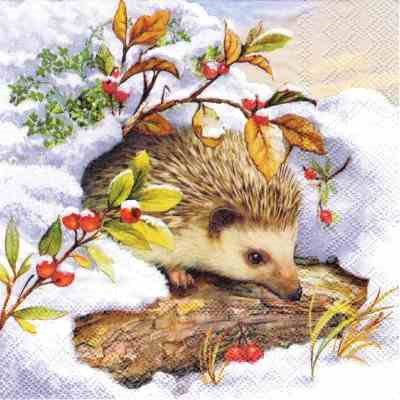 Hedgehog in Snow